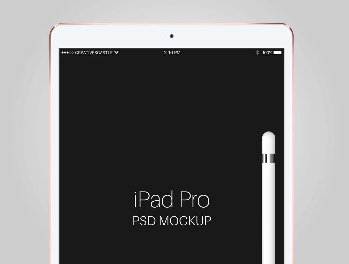 iPad Pro with Pen