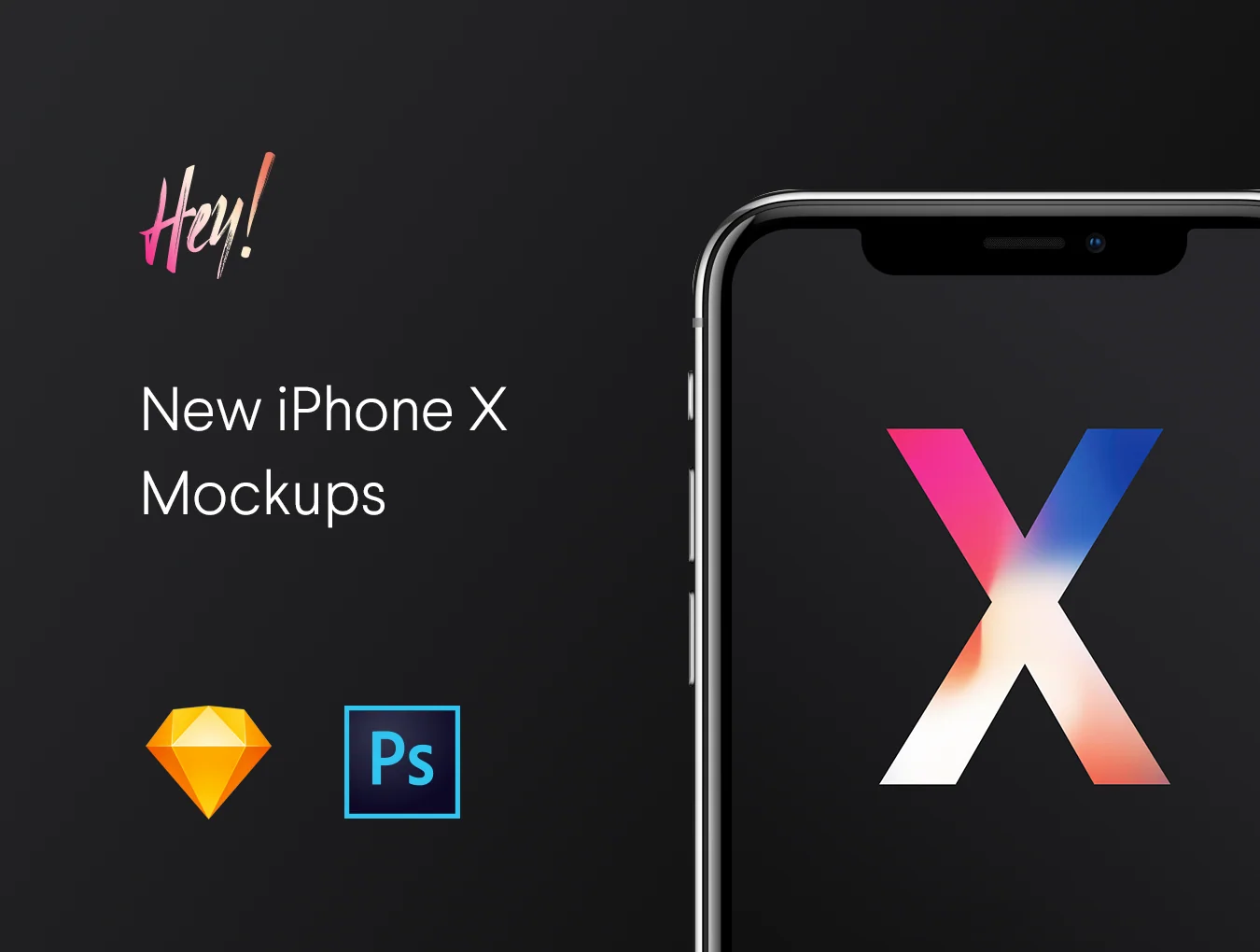 iPhone X 2 Hands