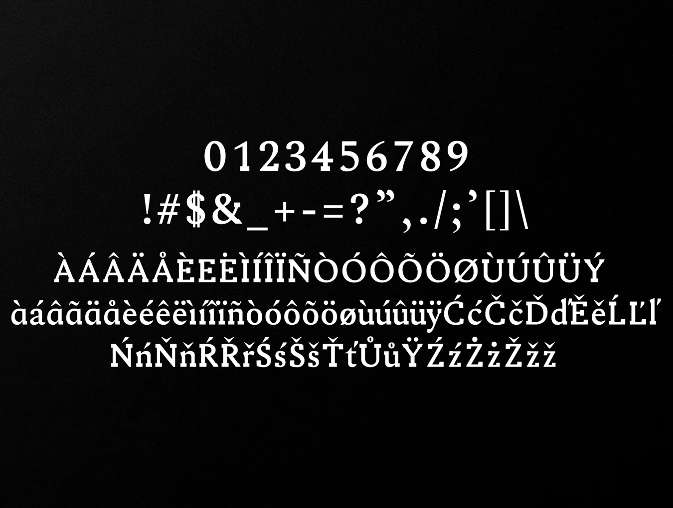 Ireene Serif Font Family 4