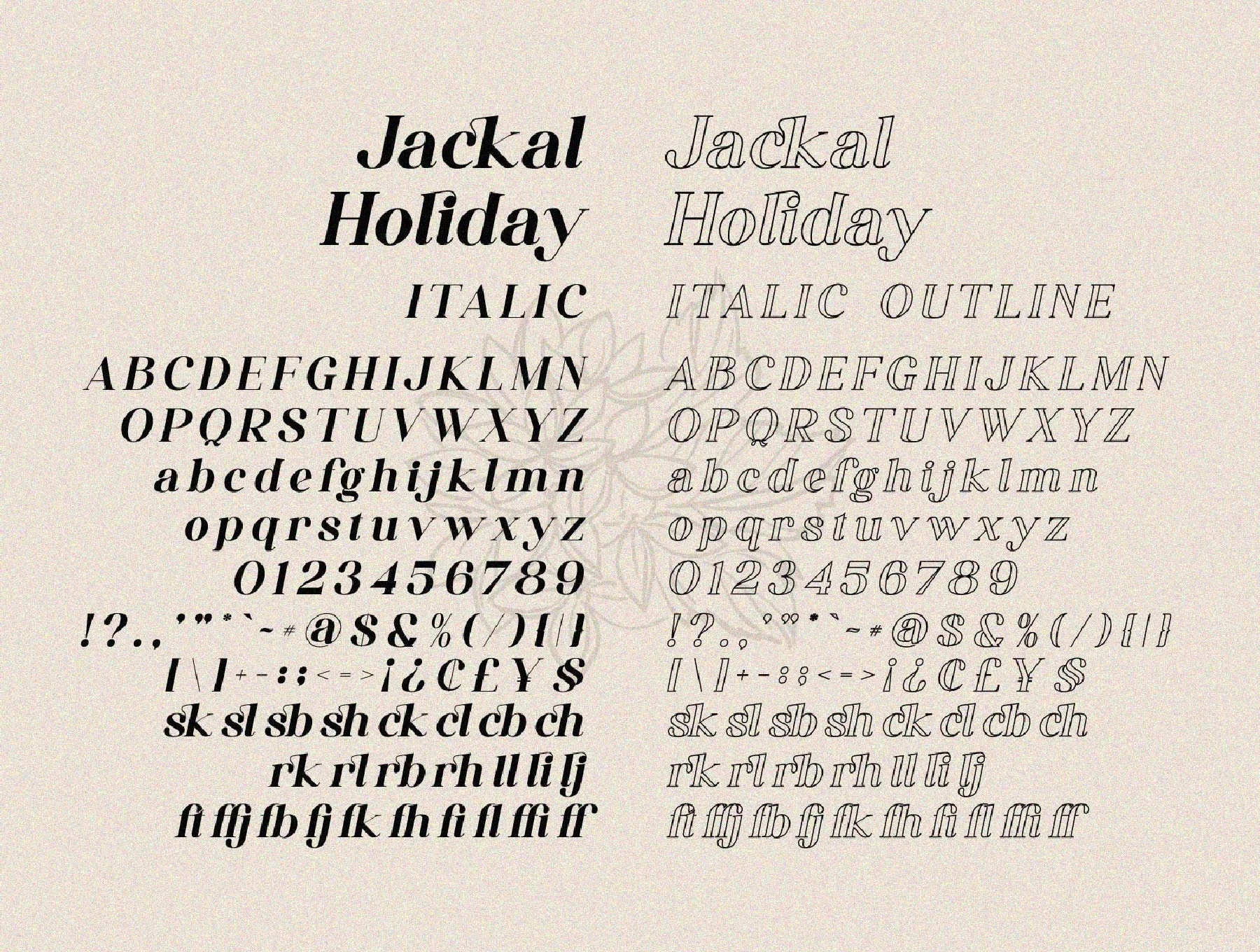 Jackal Holiday 8