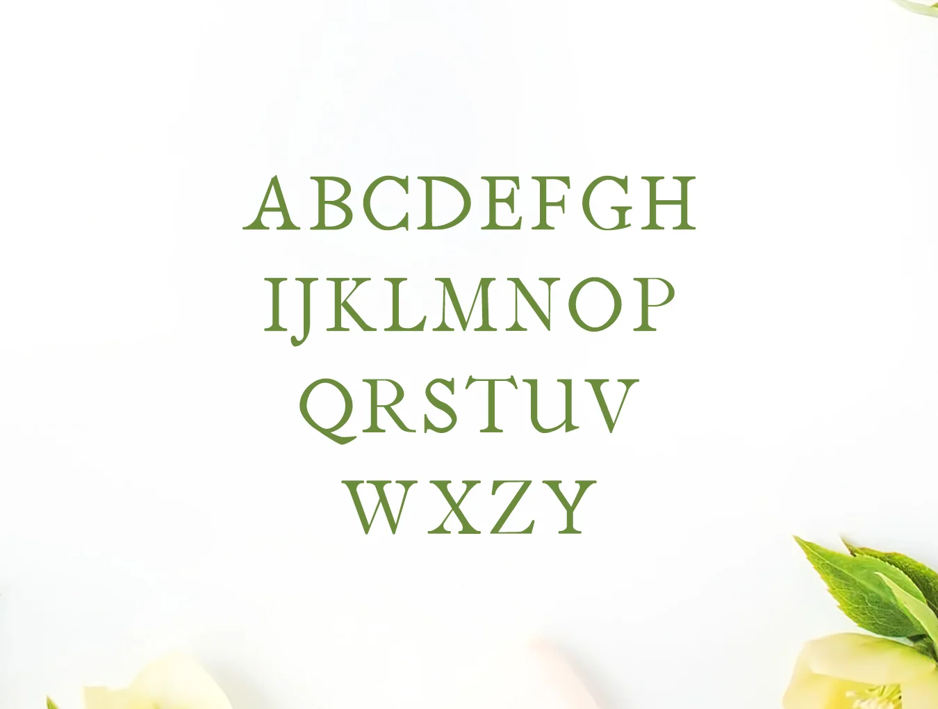 Jerricca Serif Typeface 2