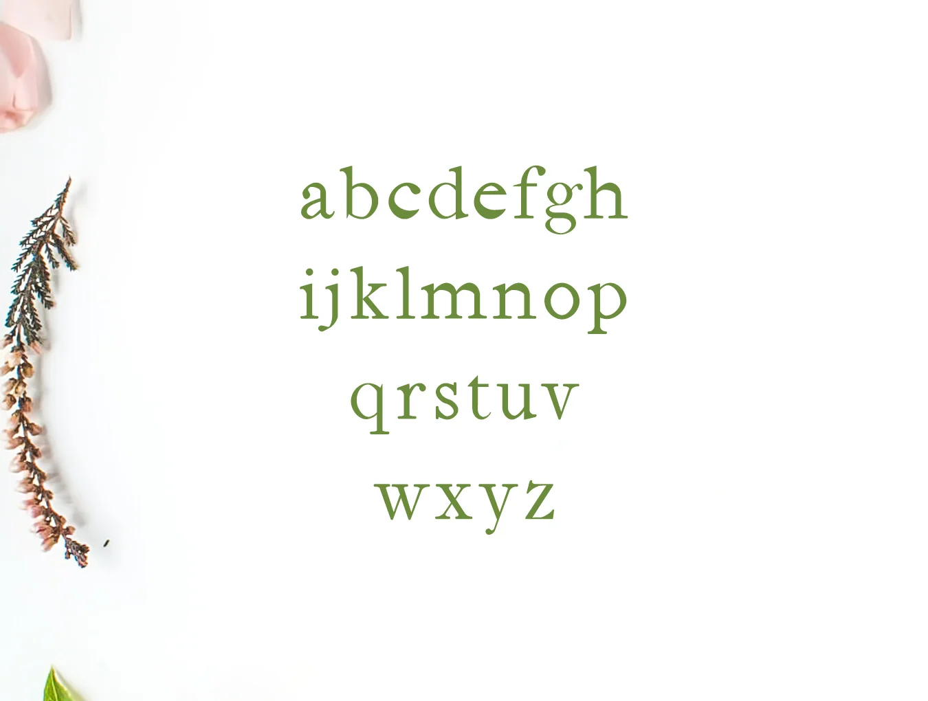 Jerricca Serif Typeface 3