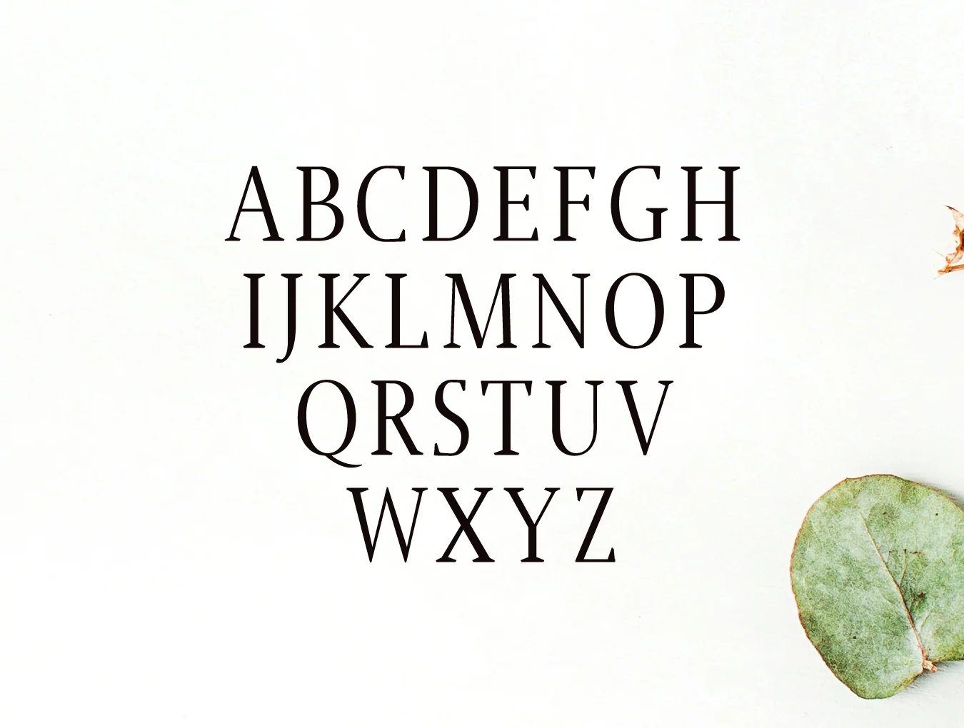 Jerrick Serif 2