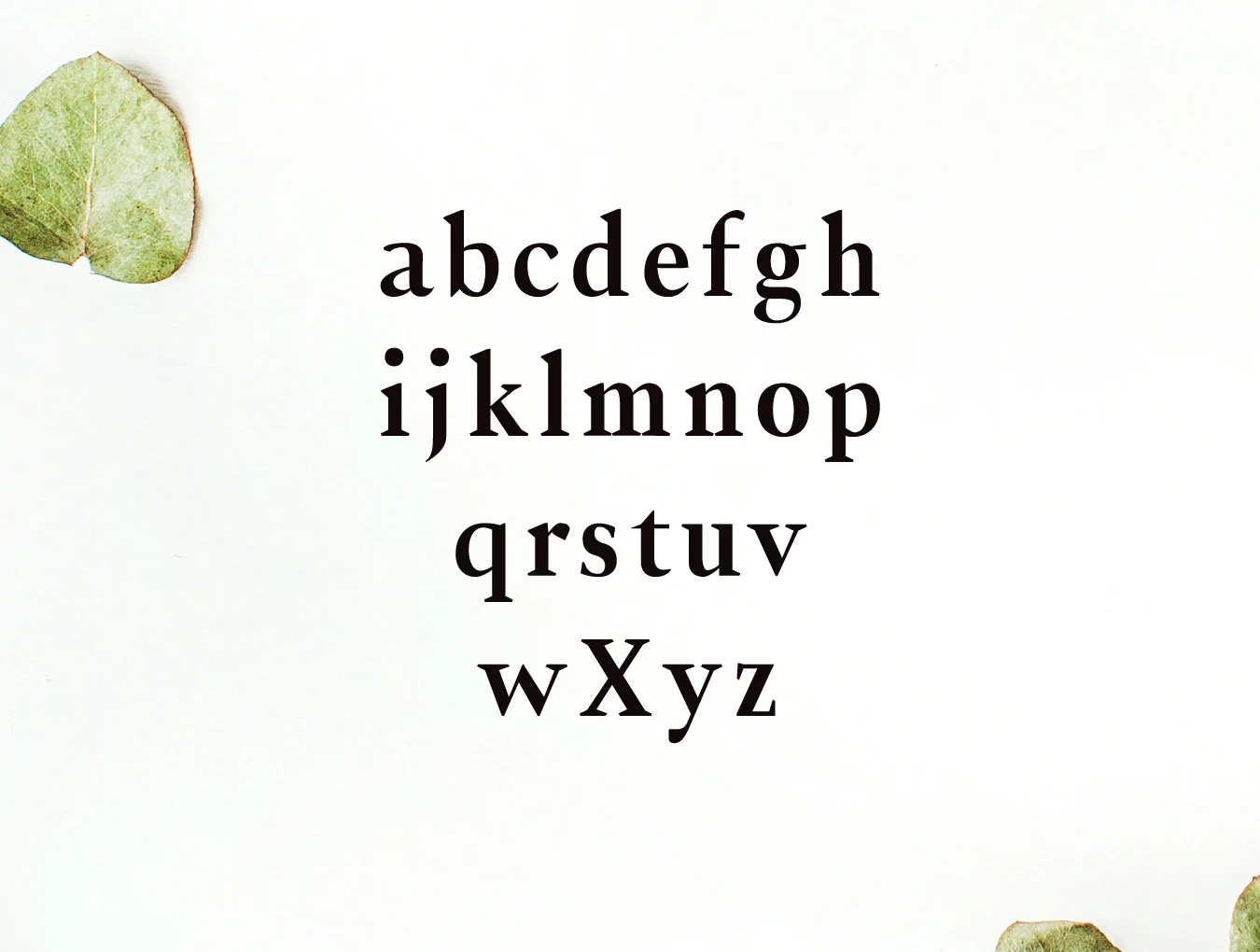 Jerrick Serif 3