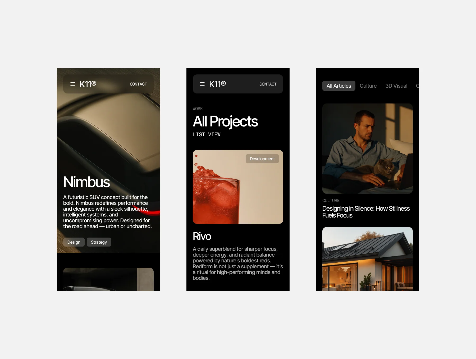 K11 Portfolio Website Template 4