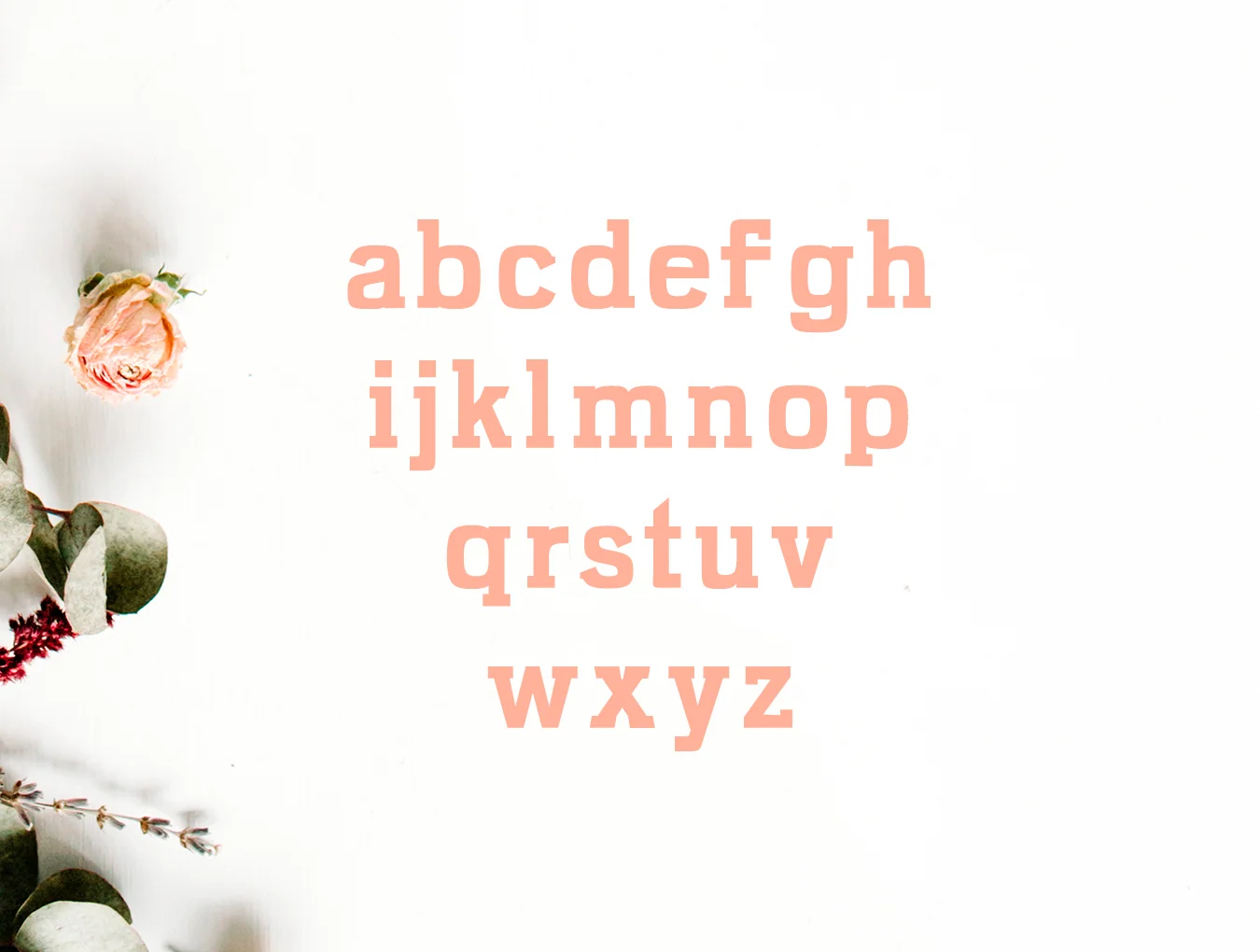 Kaayla Slab Serif 2