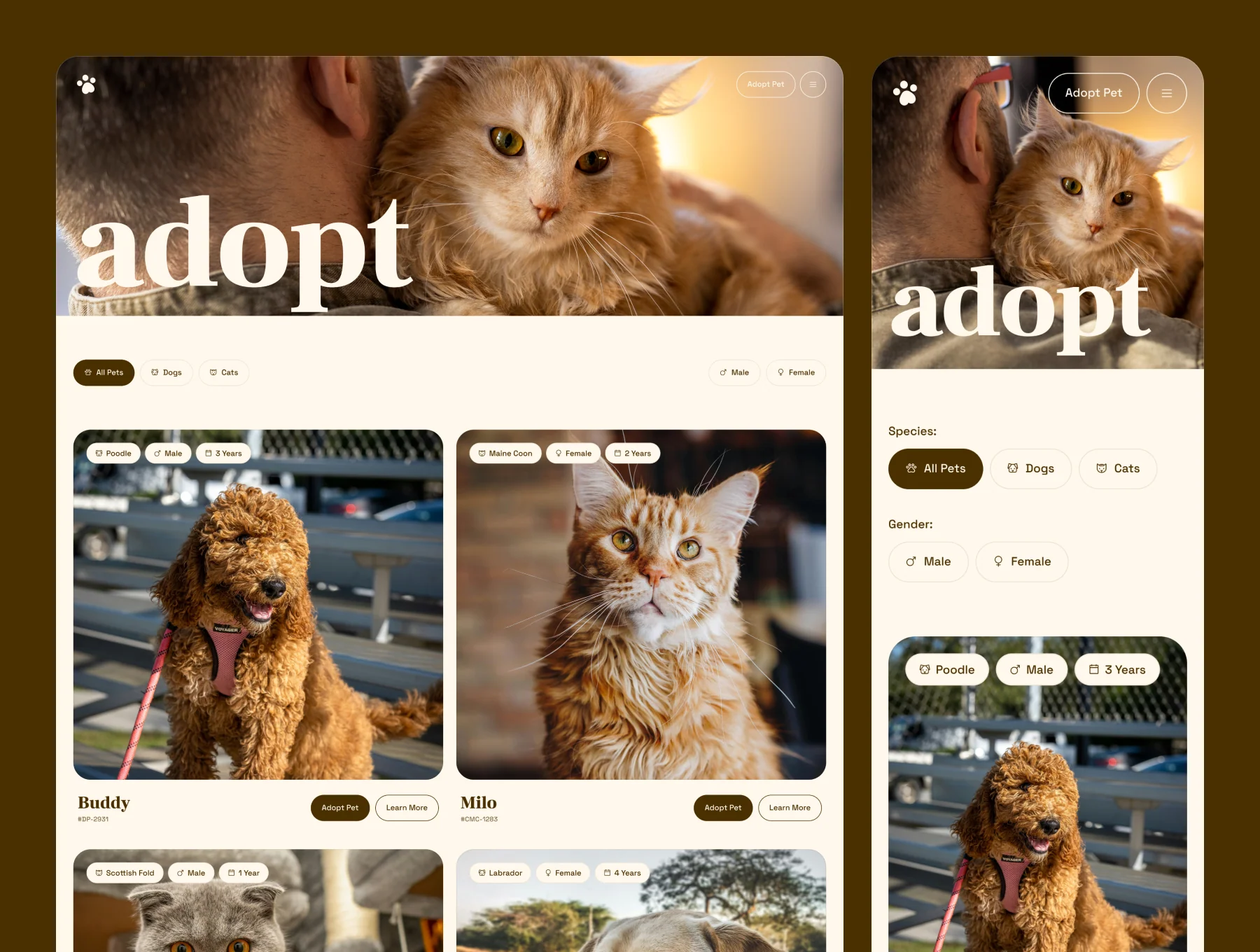 Kindtail – Animal Shelter Website 4