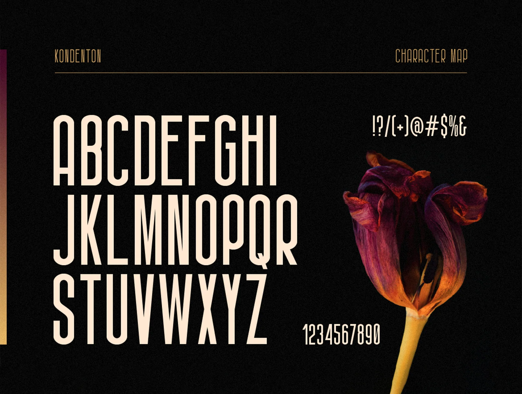 Kondenton Condense Font 2