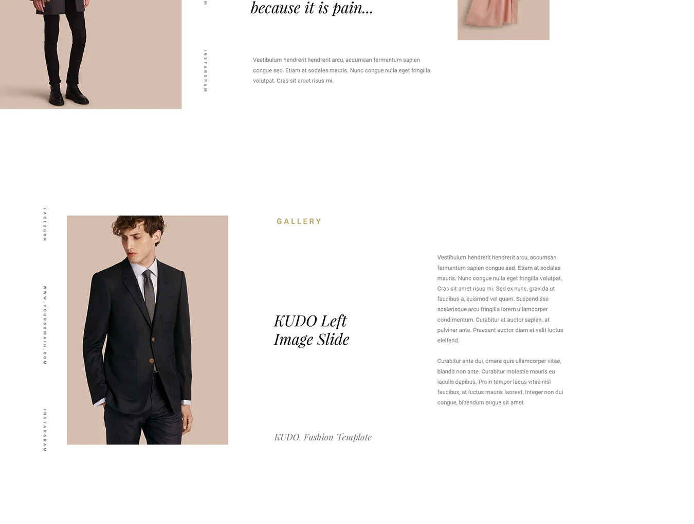Kudo Presentation 4