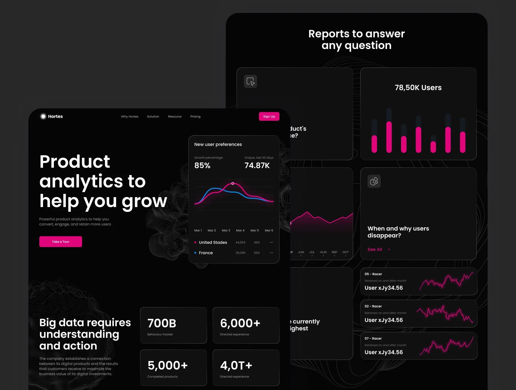 Landing Page (Analytics Company)