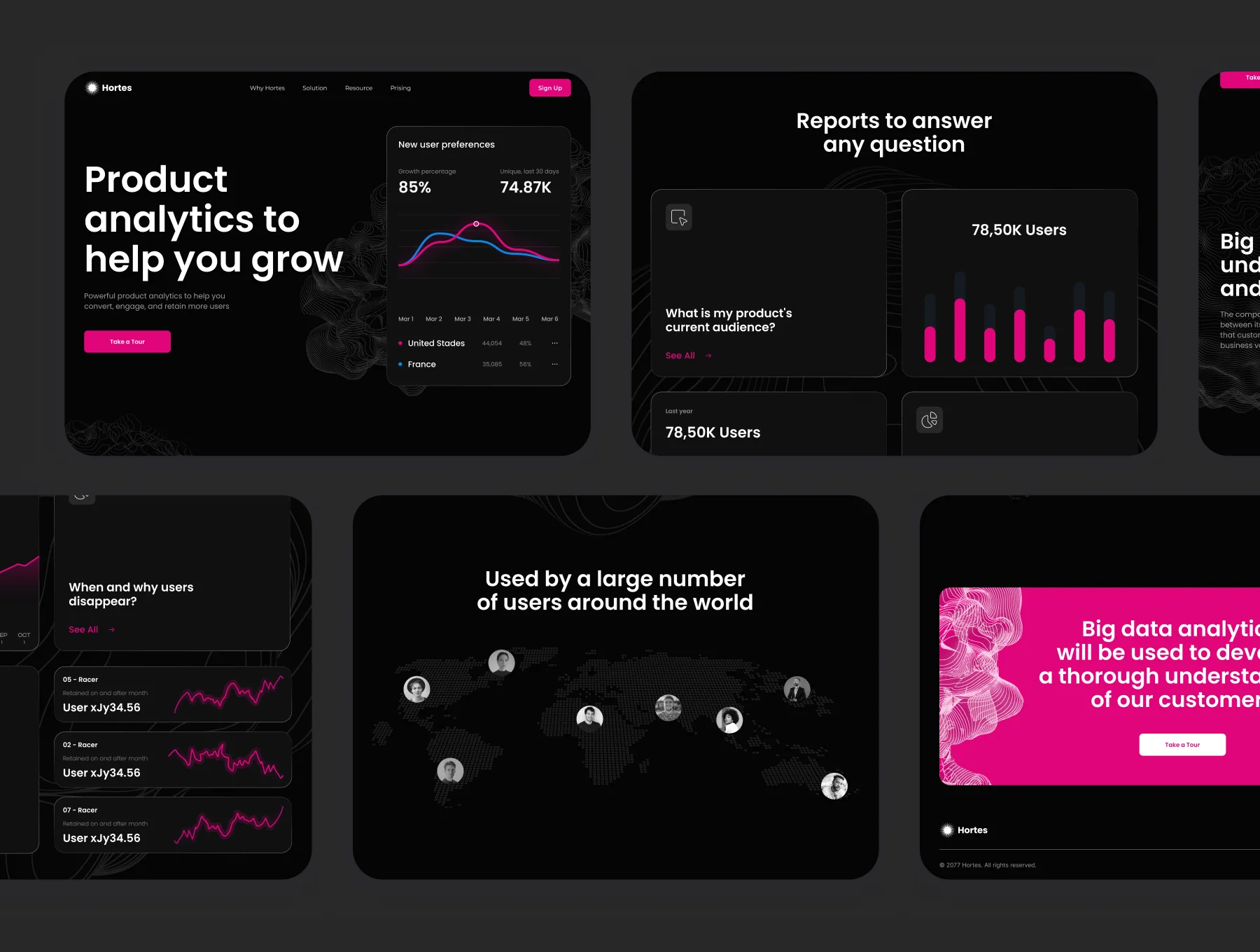 Landing Page (Analytics Company) 3