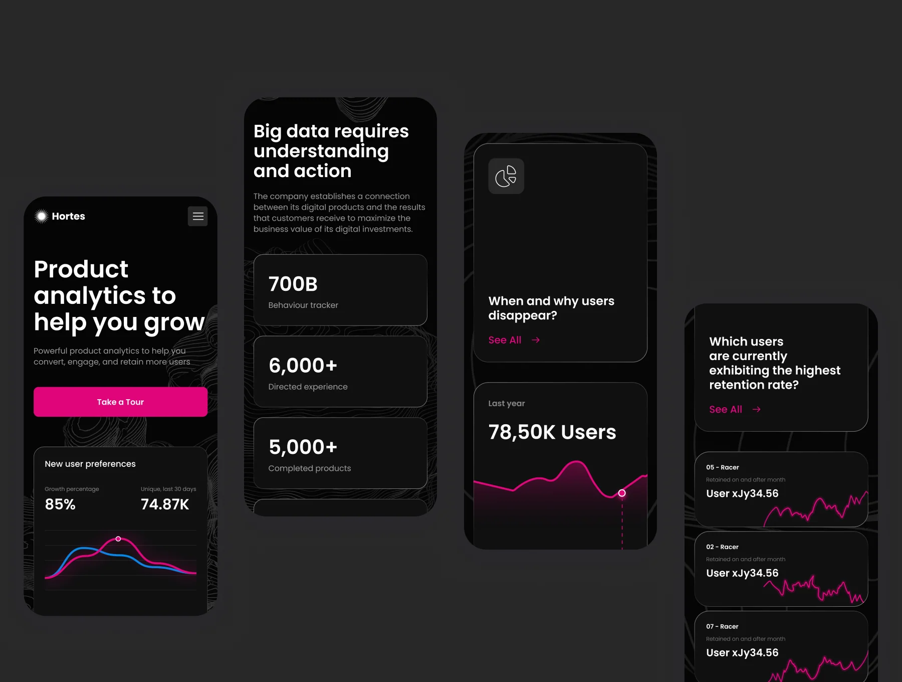 Landing Page (Analytics Company) 4