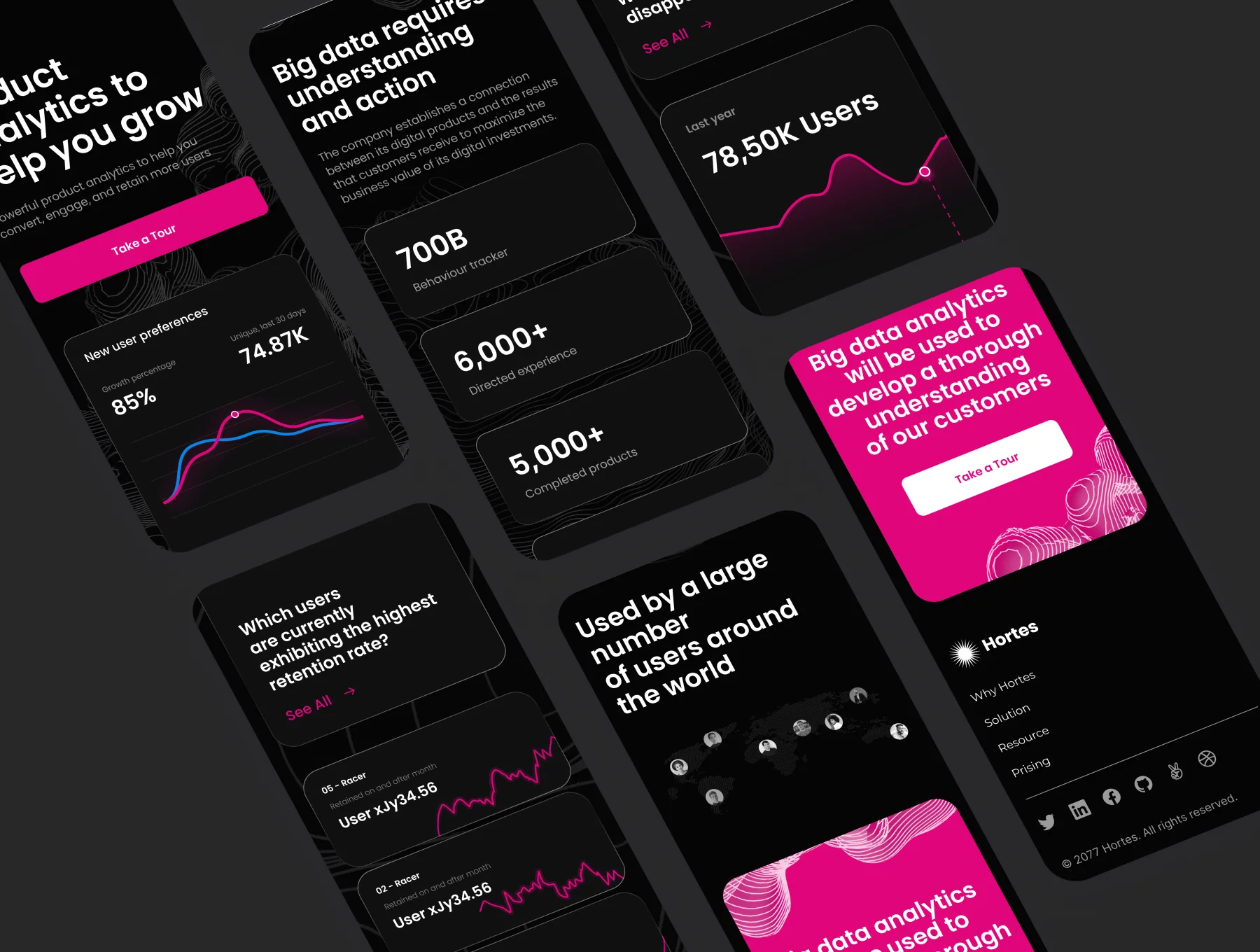 Landing Page (Analytics Company) 5