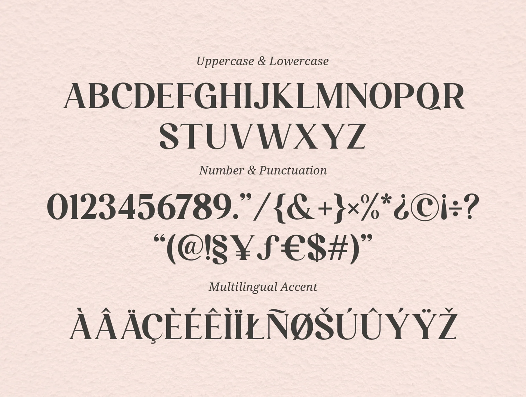 Larissa - Stylish Ligature Typeface 5