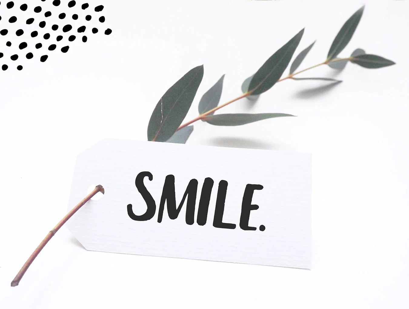 Leira Brush Font 7