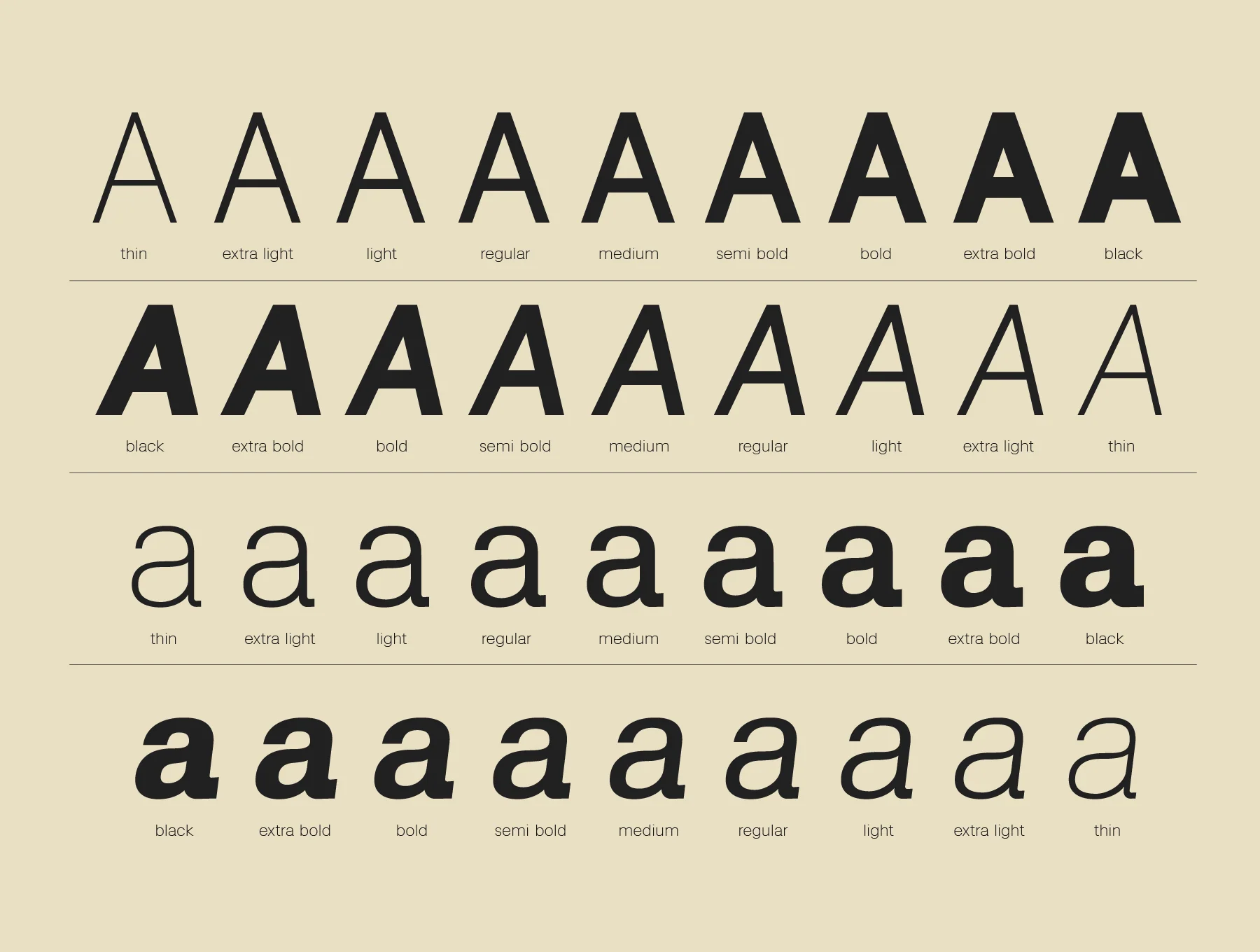 Lenia Sans