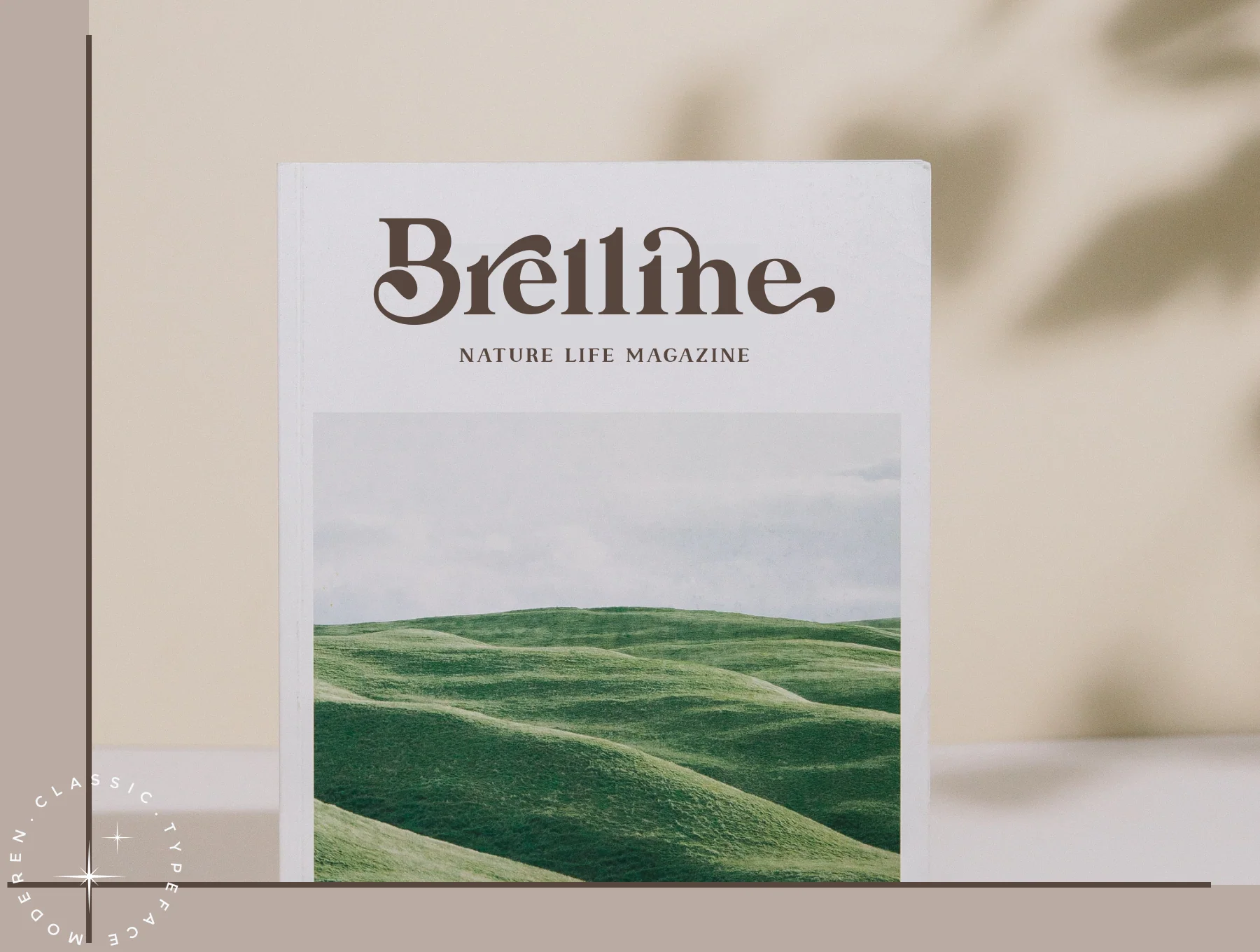Linstone - modern serif 4