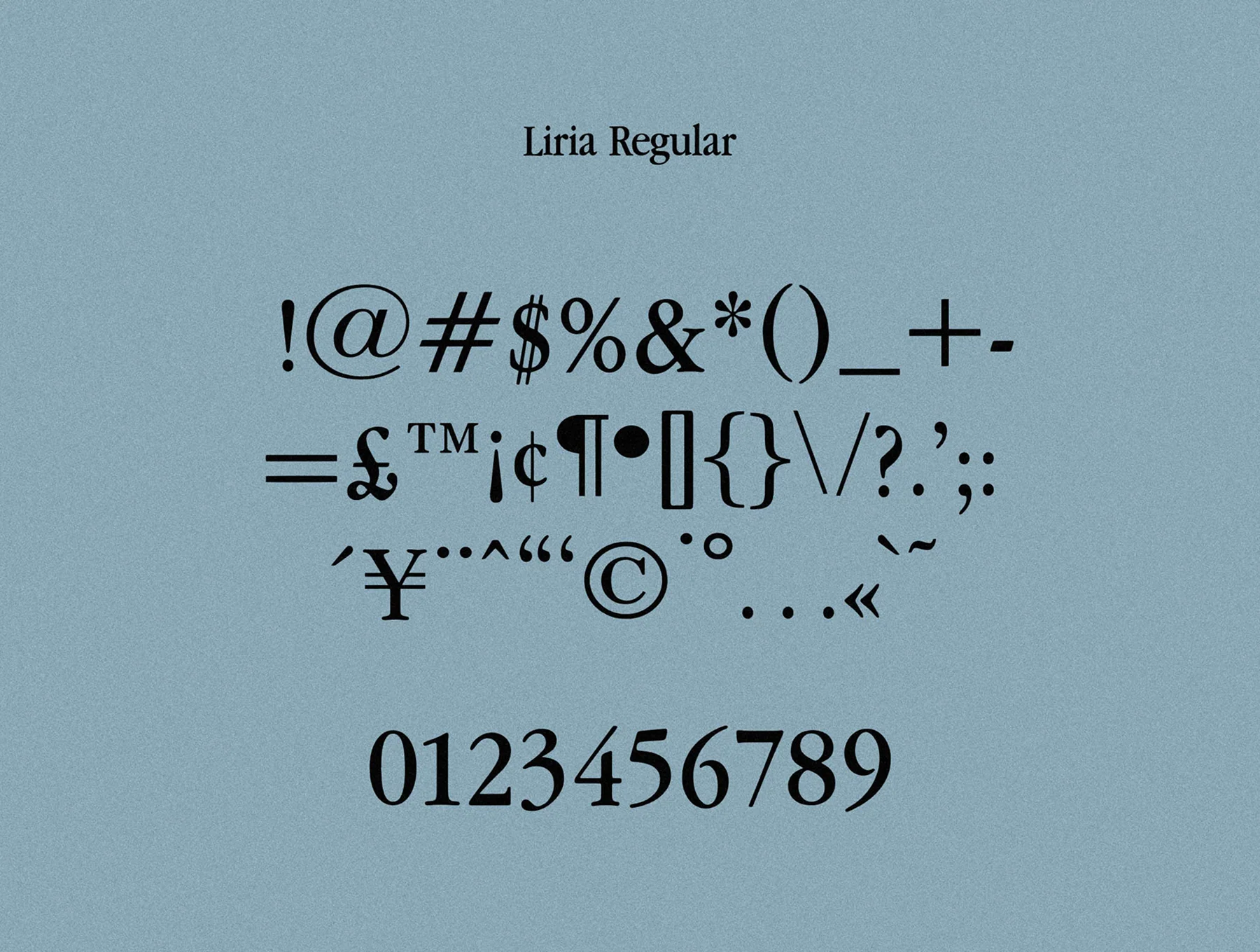 Liria Serif Typeface – Regular + Italic 10