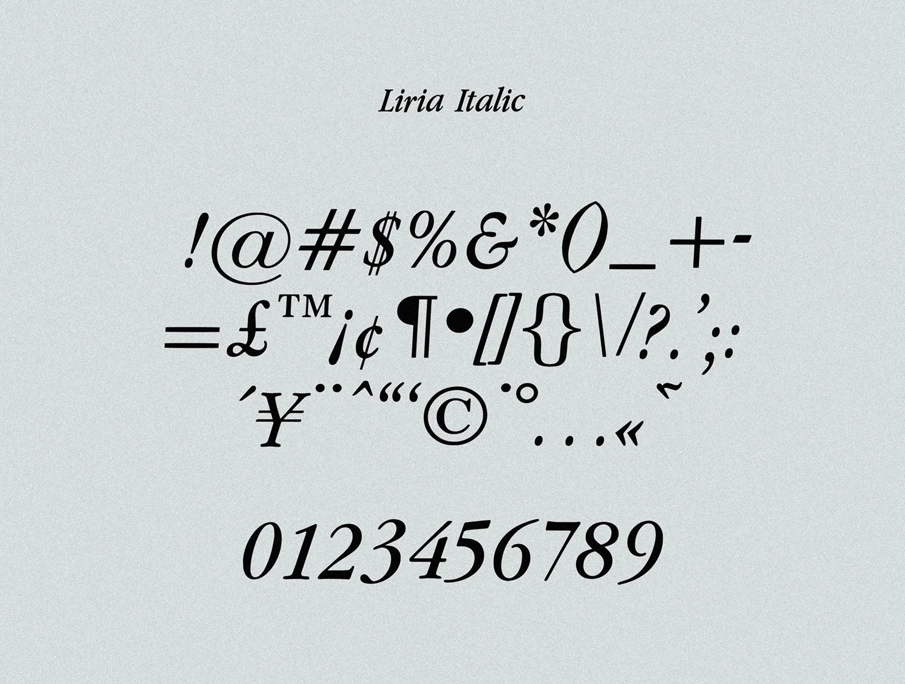 Liria Serif Typeface – Regular + Italic 6