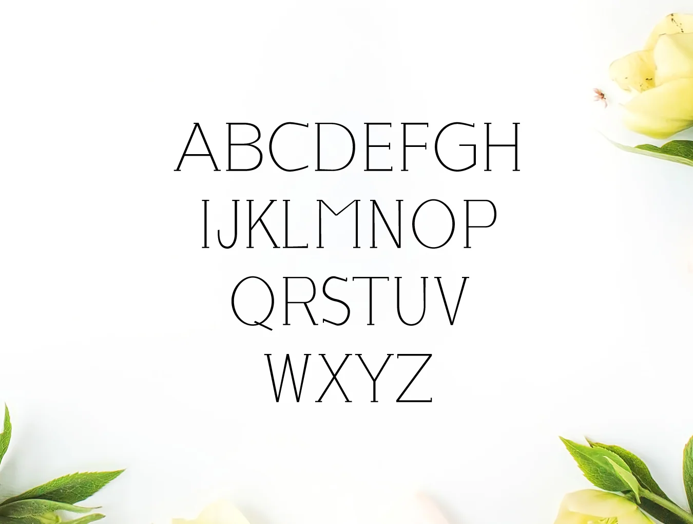 Lisandro Slab Serif