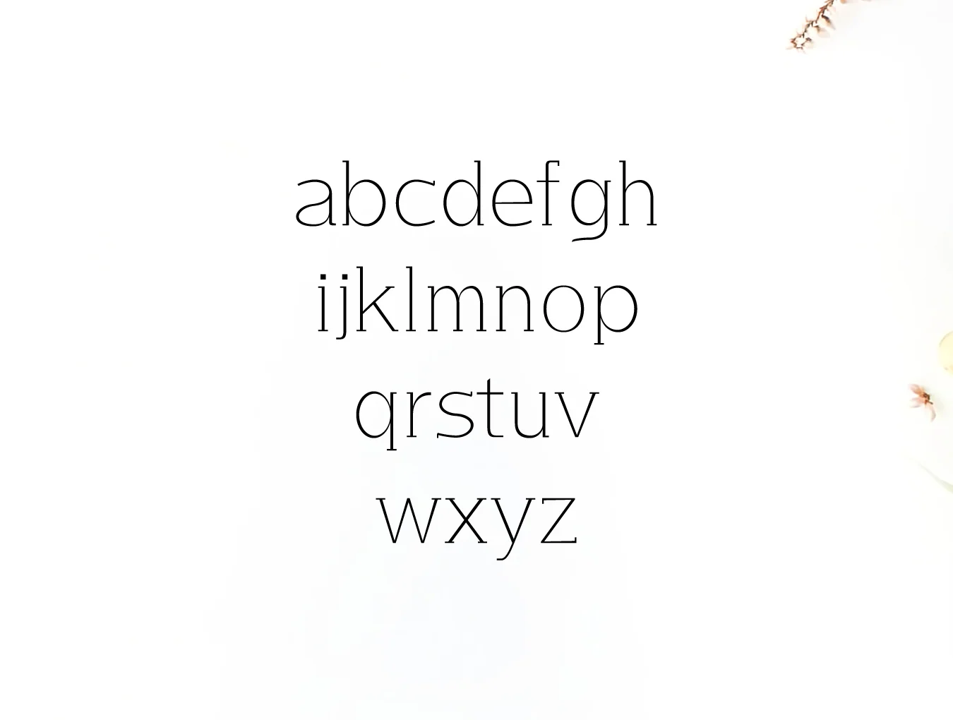 Lisandro Slab Serif 2