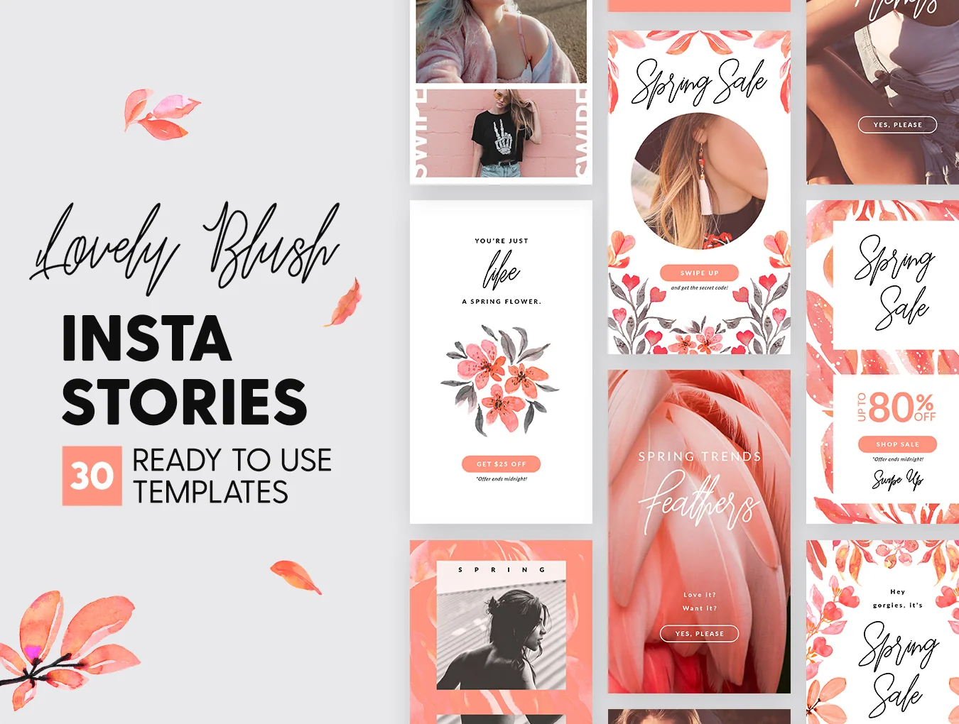 Lovely Blush Insta Stories