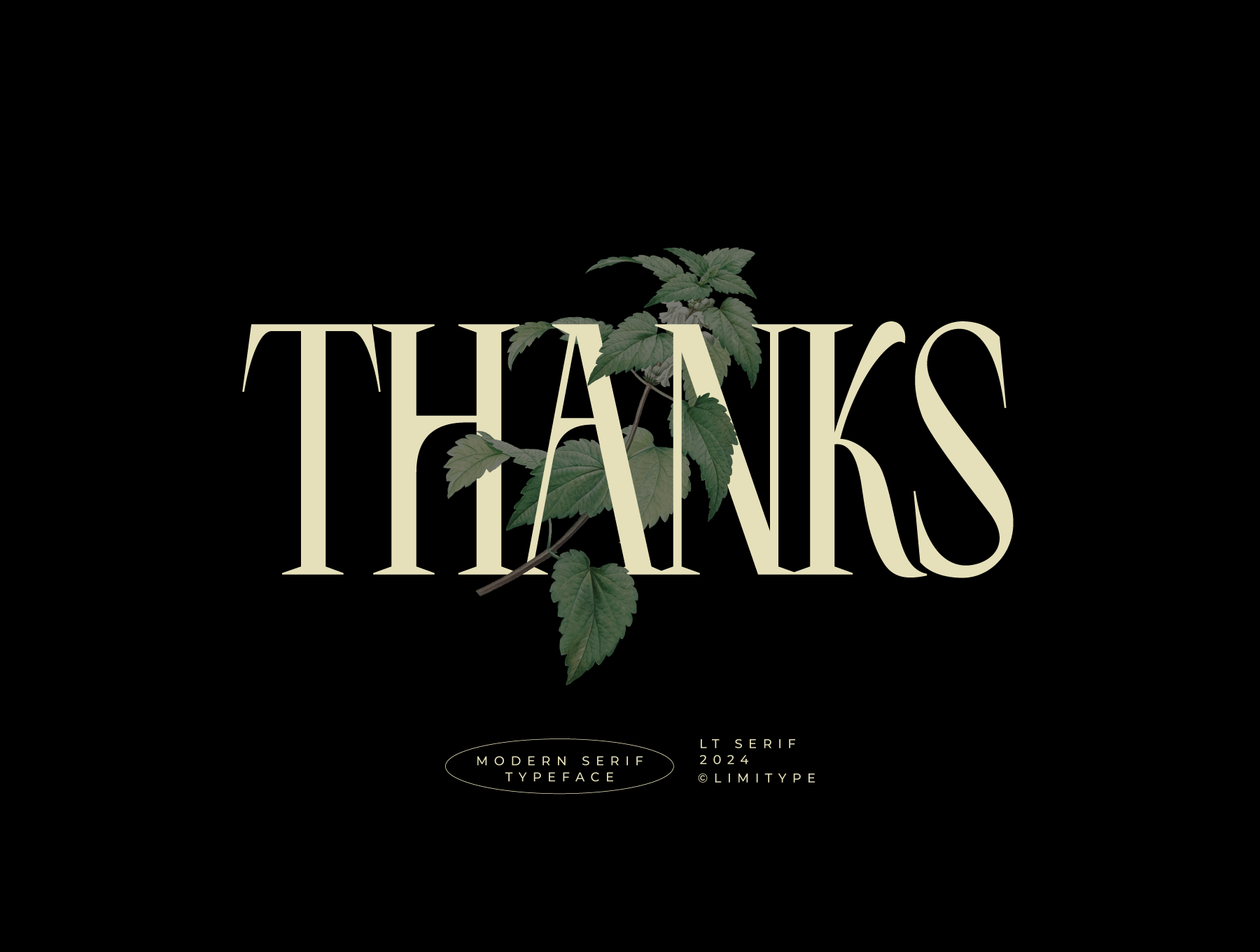 LT Serif Font 9