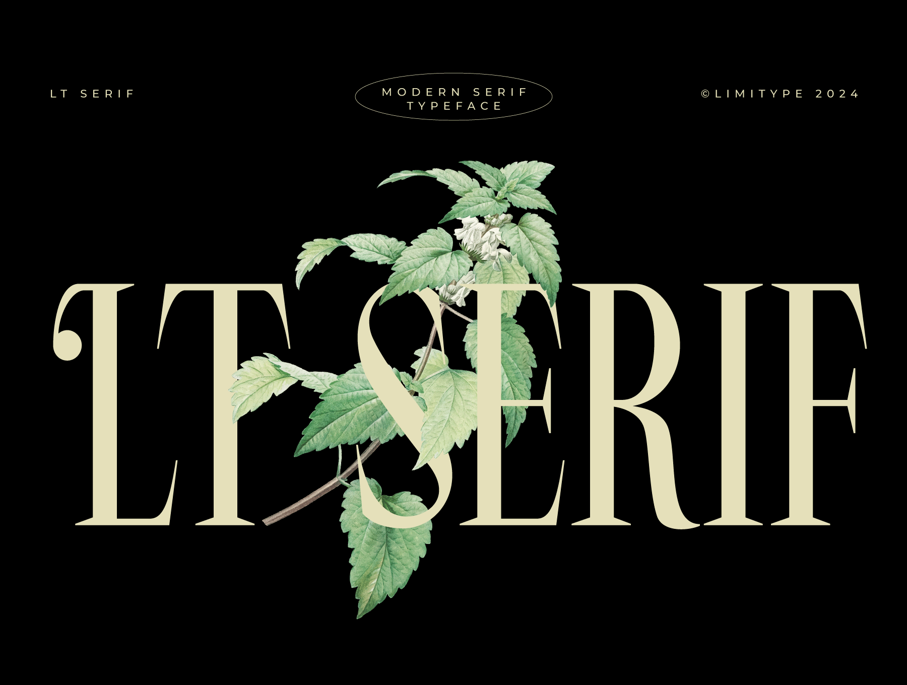 LT Serif Font