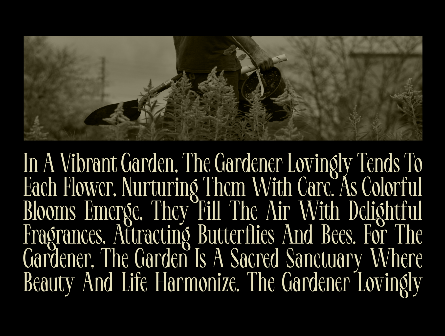 LT Serif Font 6