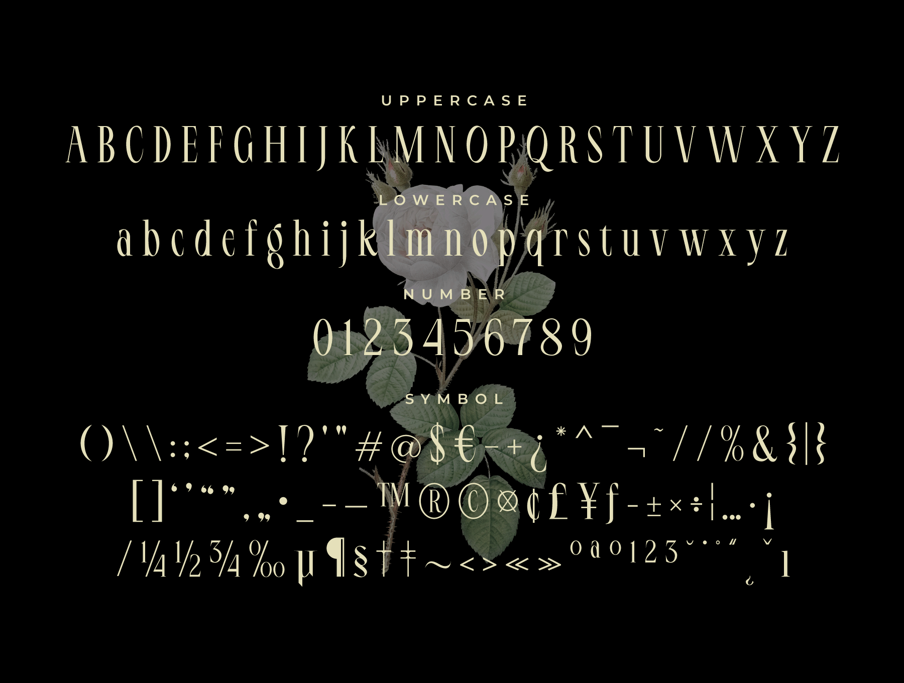 LT Serif Font 7