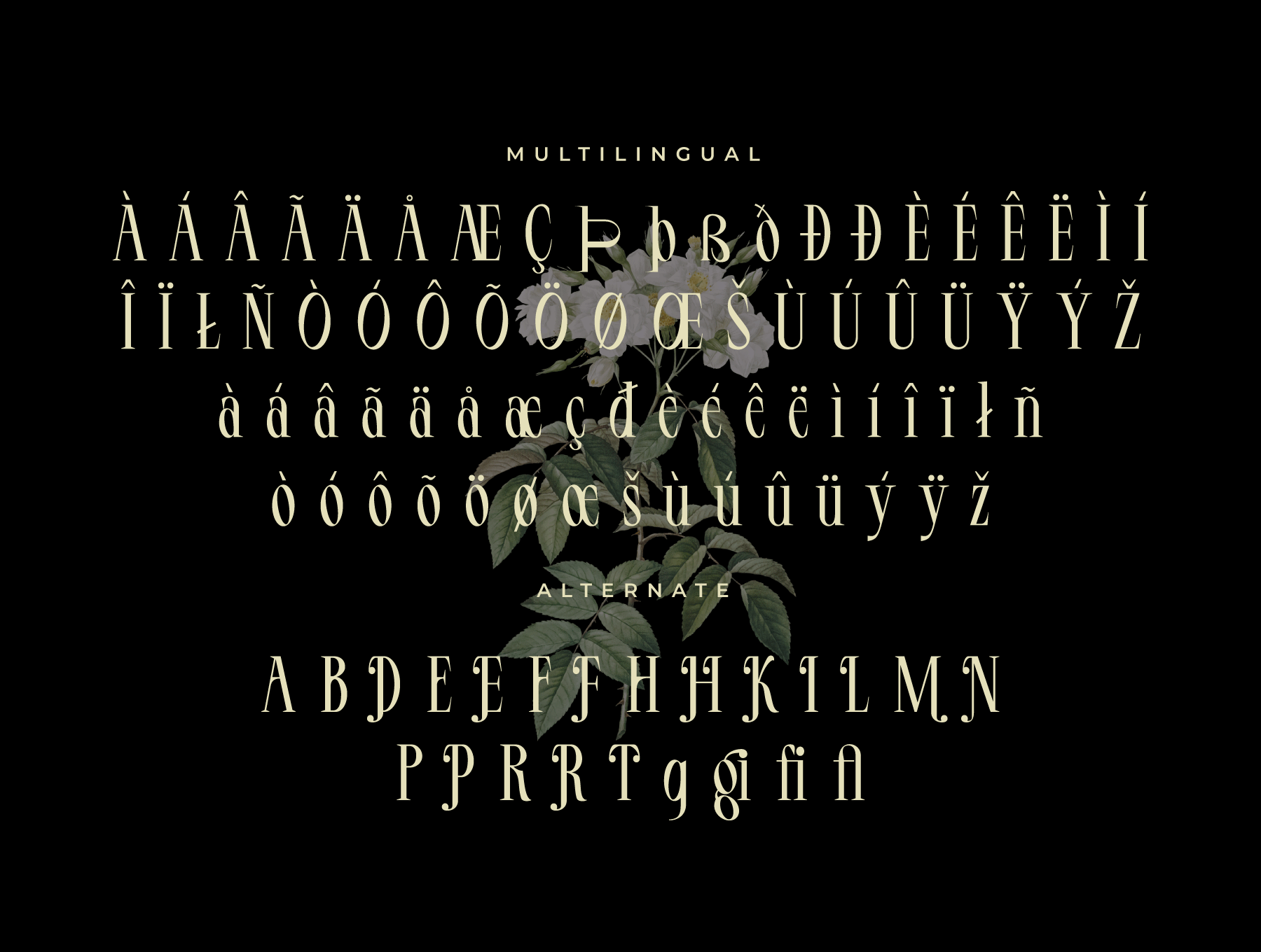 LT Serif Font 8