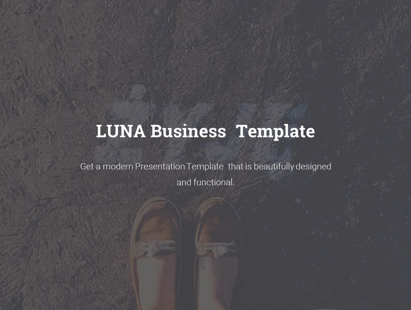 Luna Business Company Theme