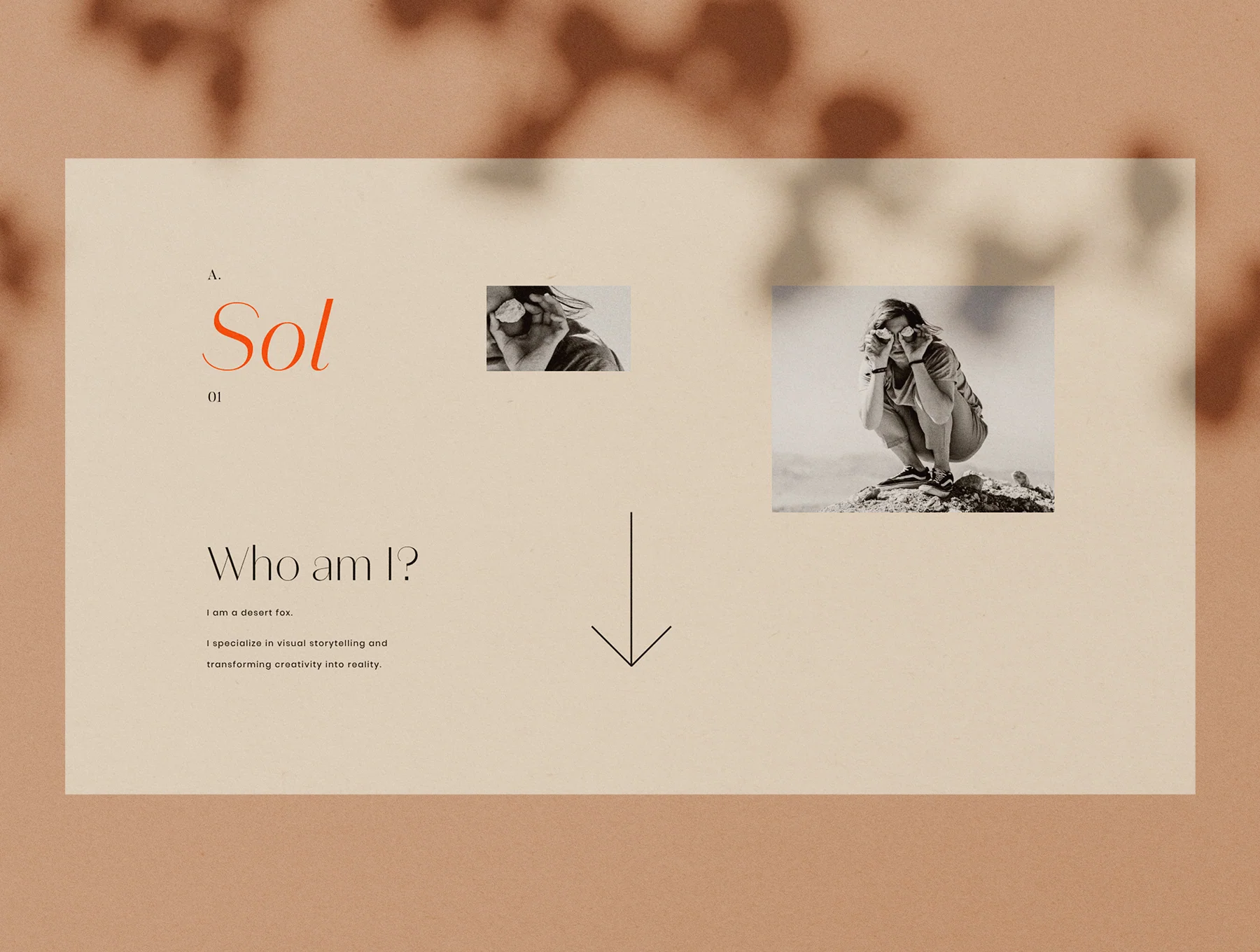 Studio Portfolio Presentation Proposal Luna y Sol 5