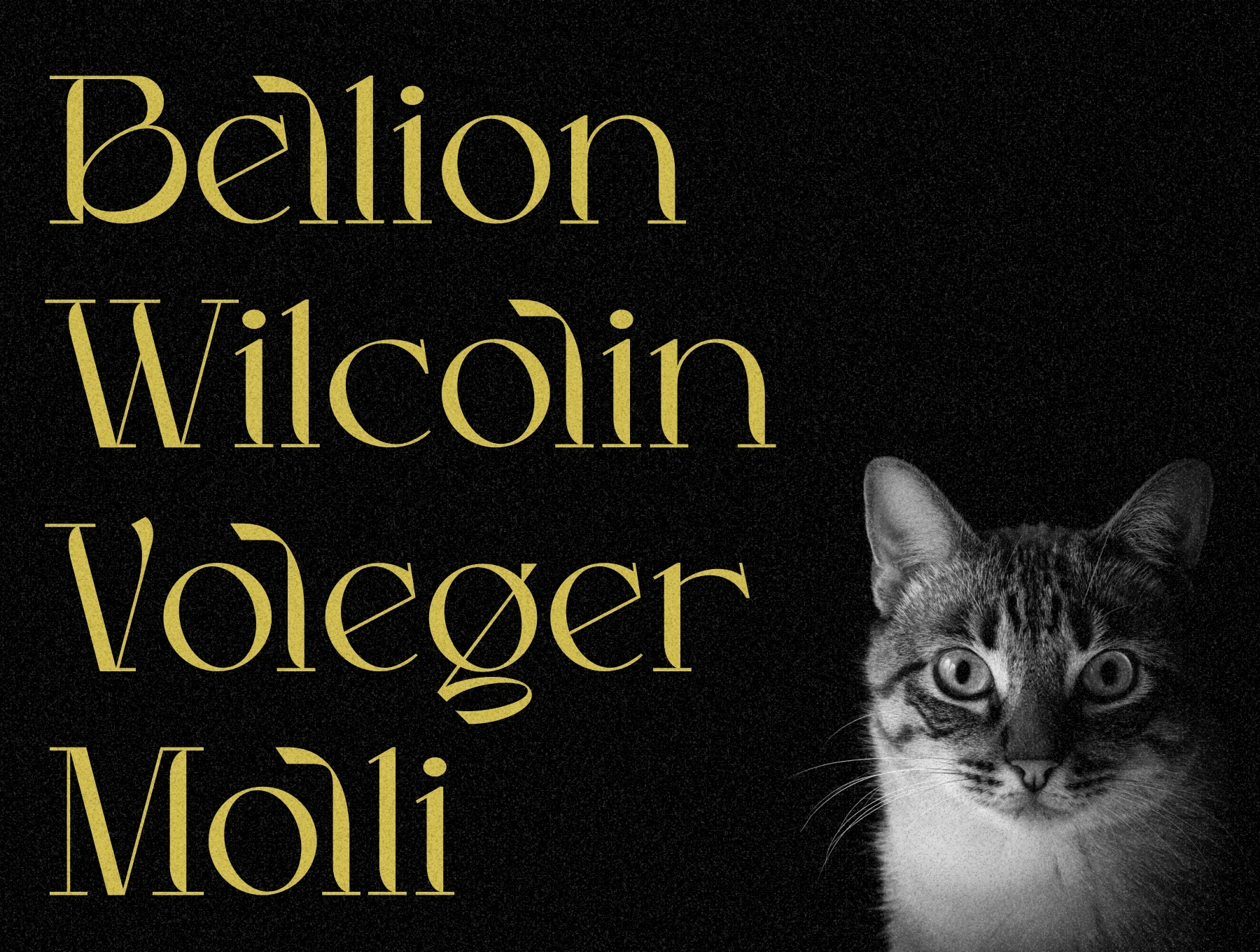 Luncat - Display Typeface 2