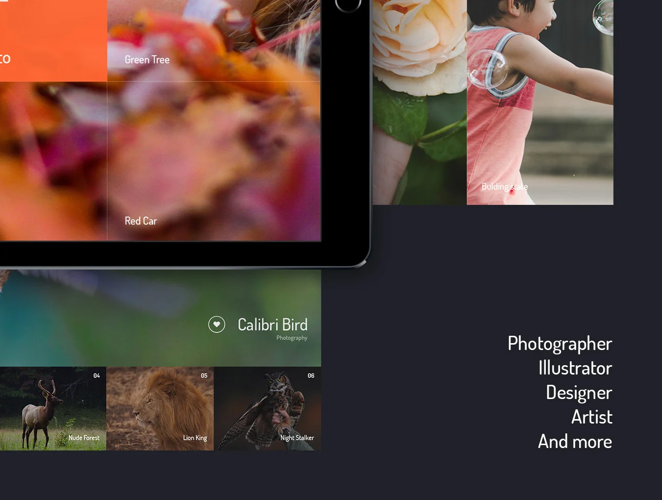 Mac Photographer 4