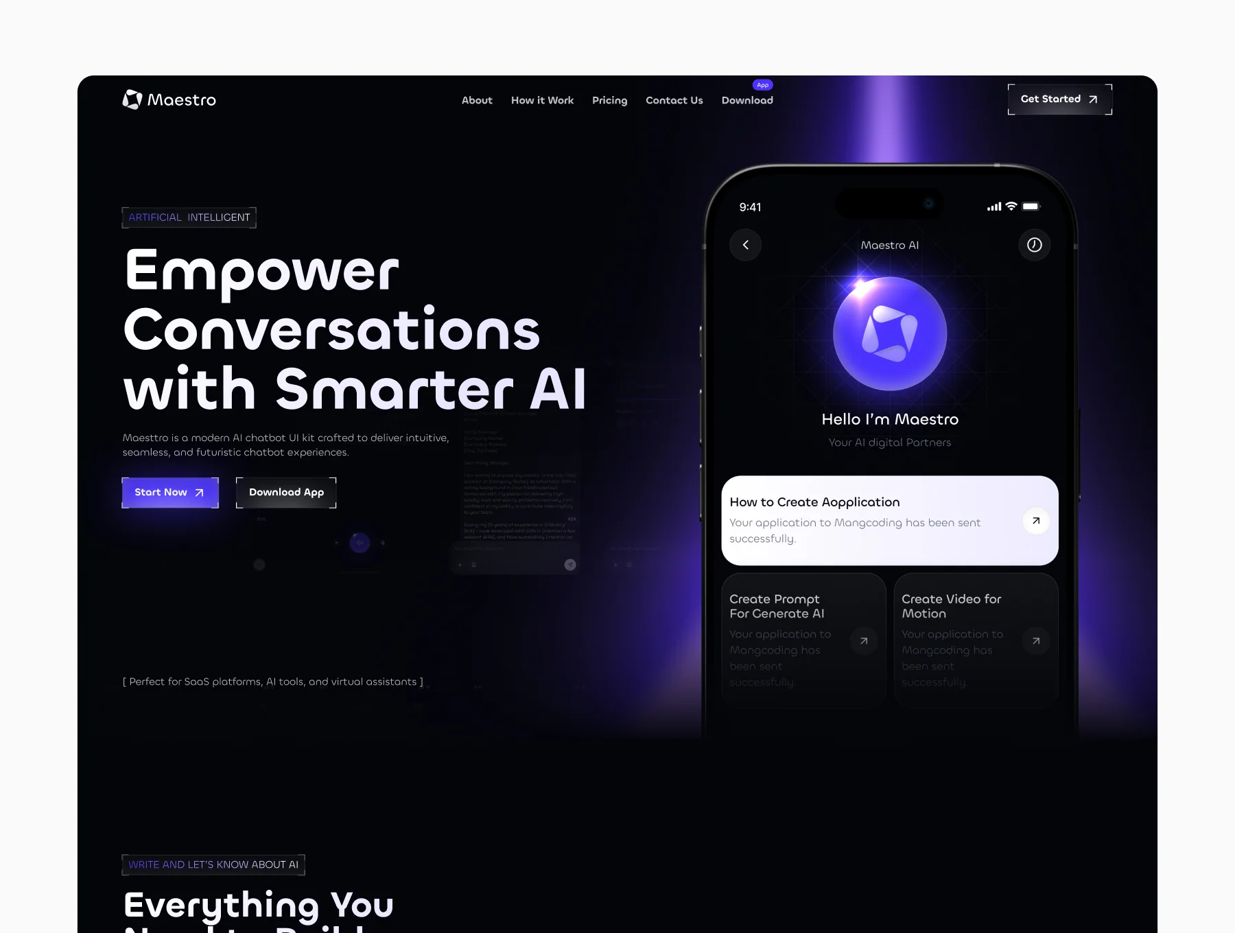 Maesttro - Responsive Design Website 3