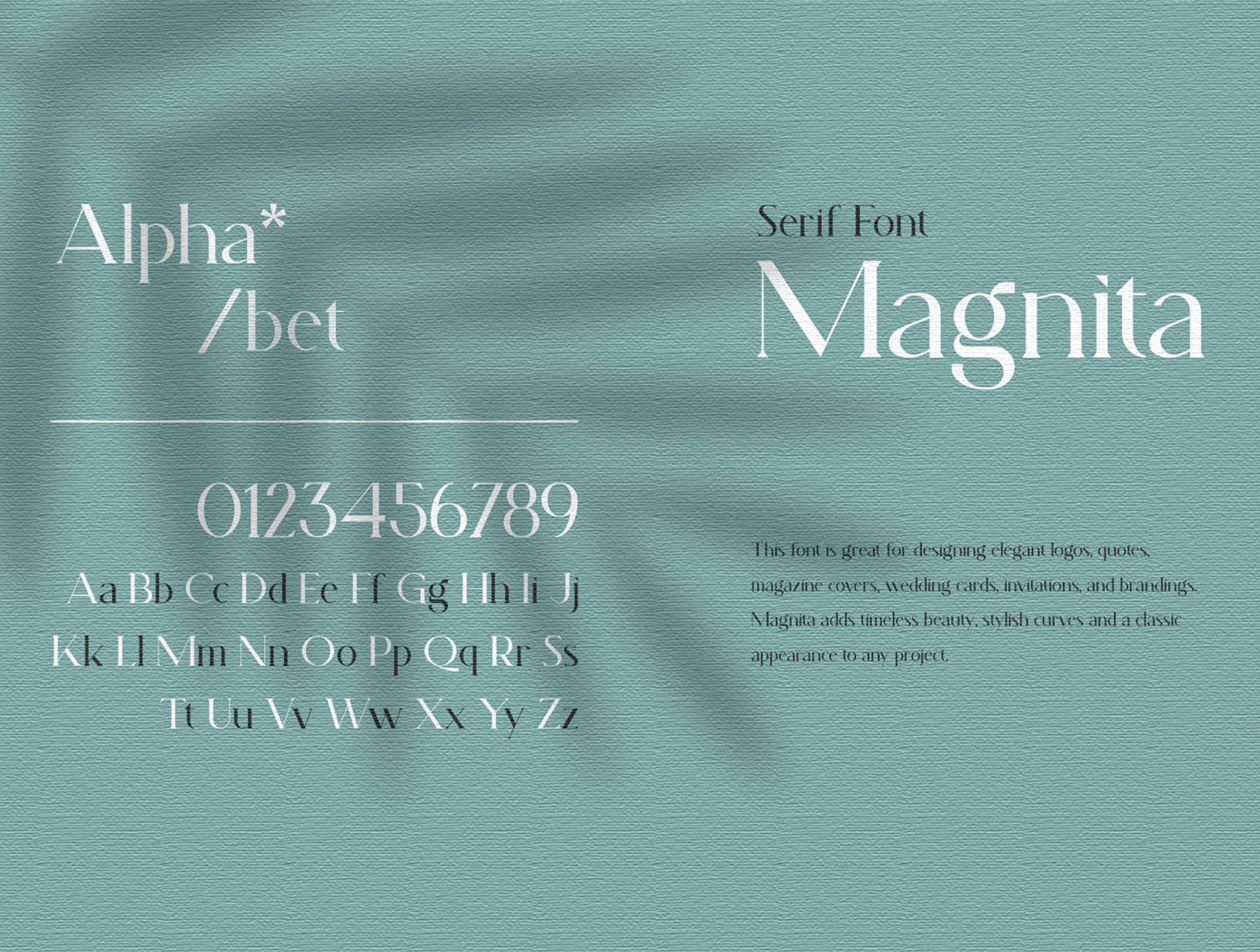 Magnita - Serif Font 2