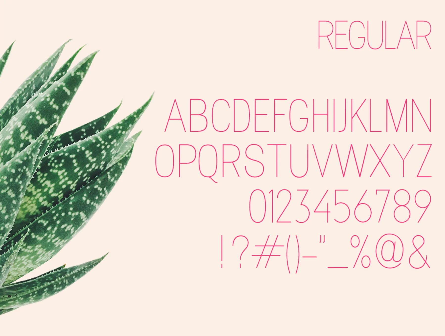 Magnolla Family Font 2