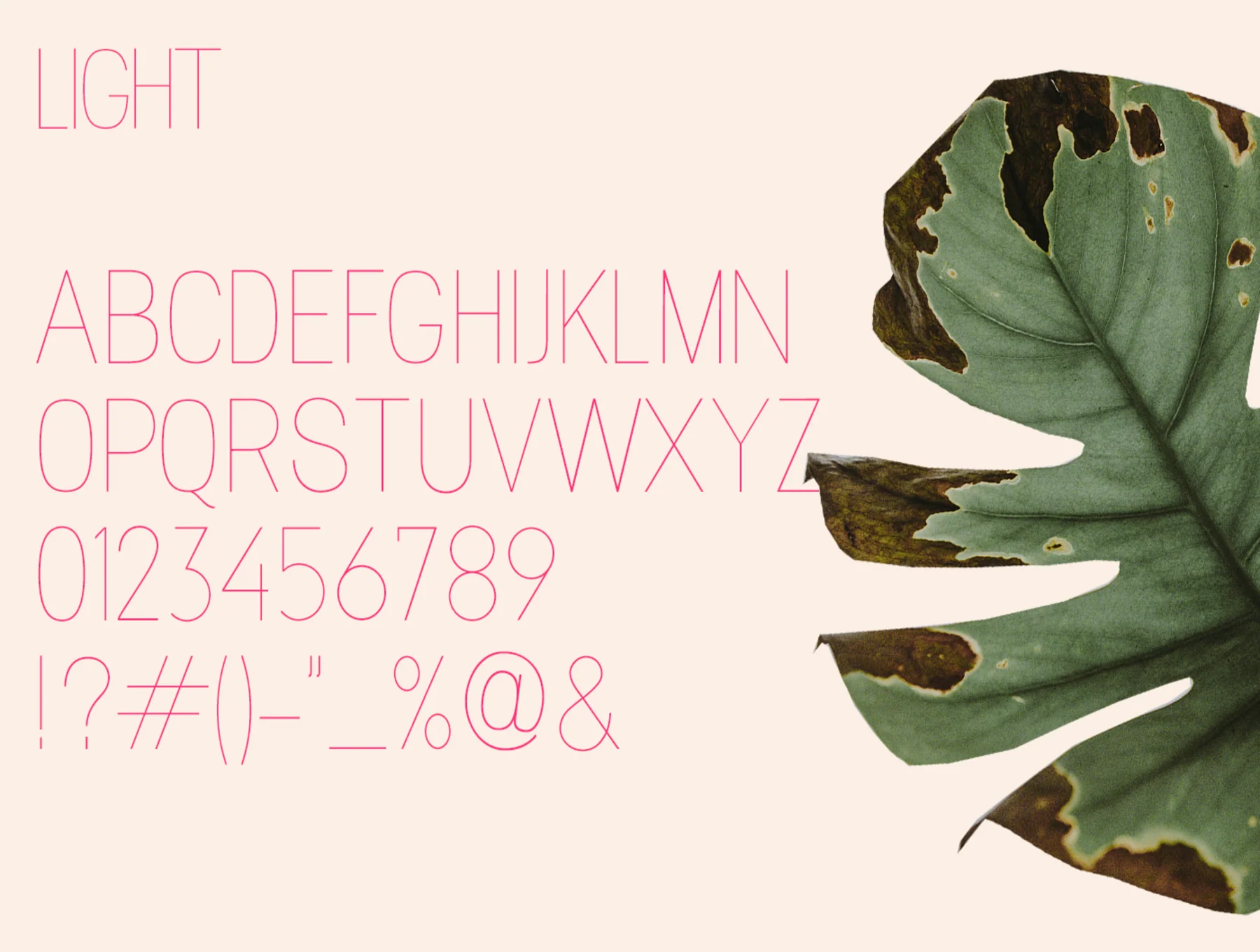 Magnolla Family Font 3