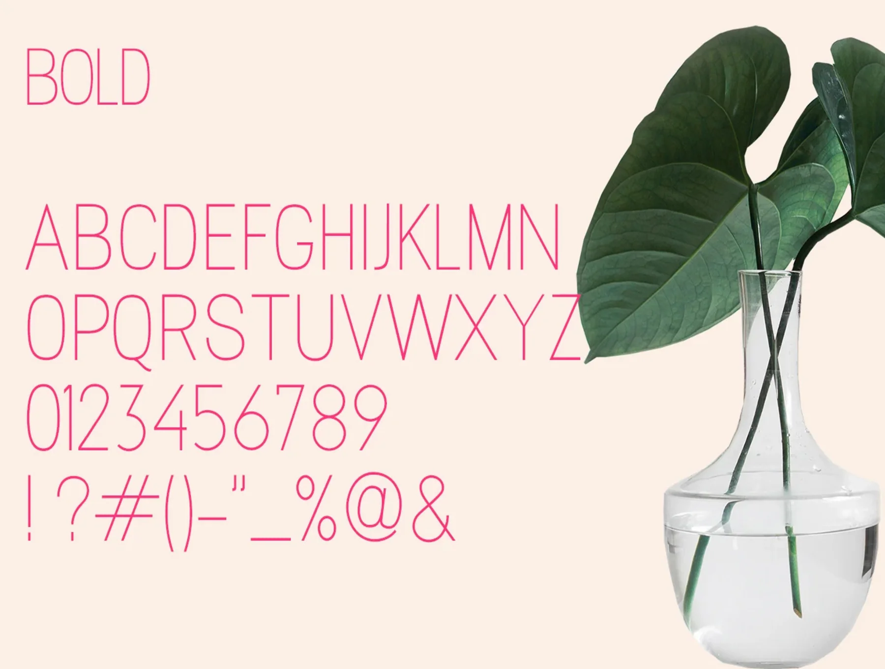 Magnolla Family Font 4