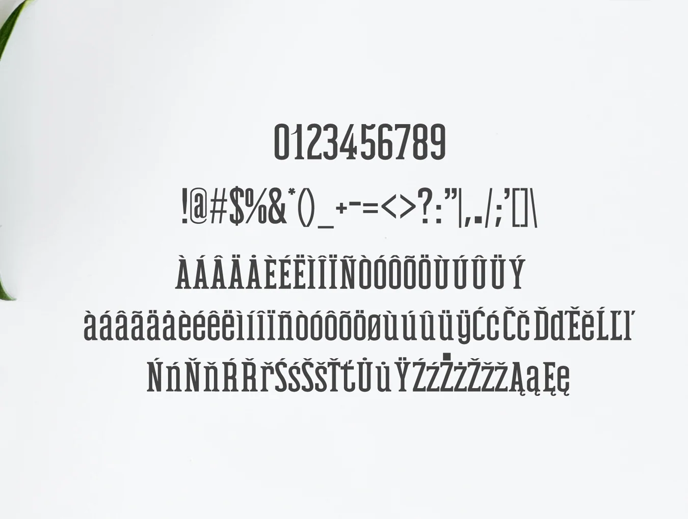 Mahlon Serif Font Family 4