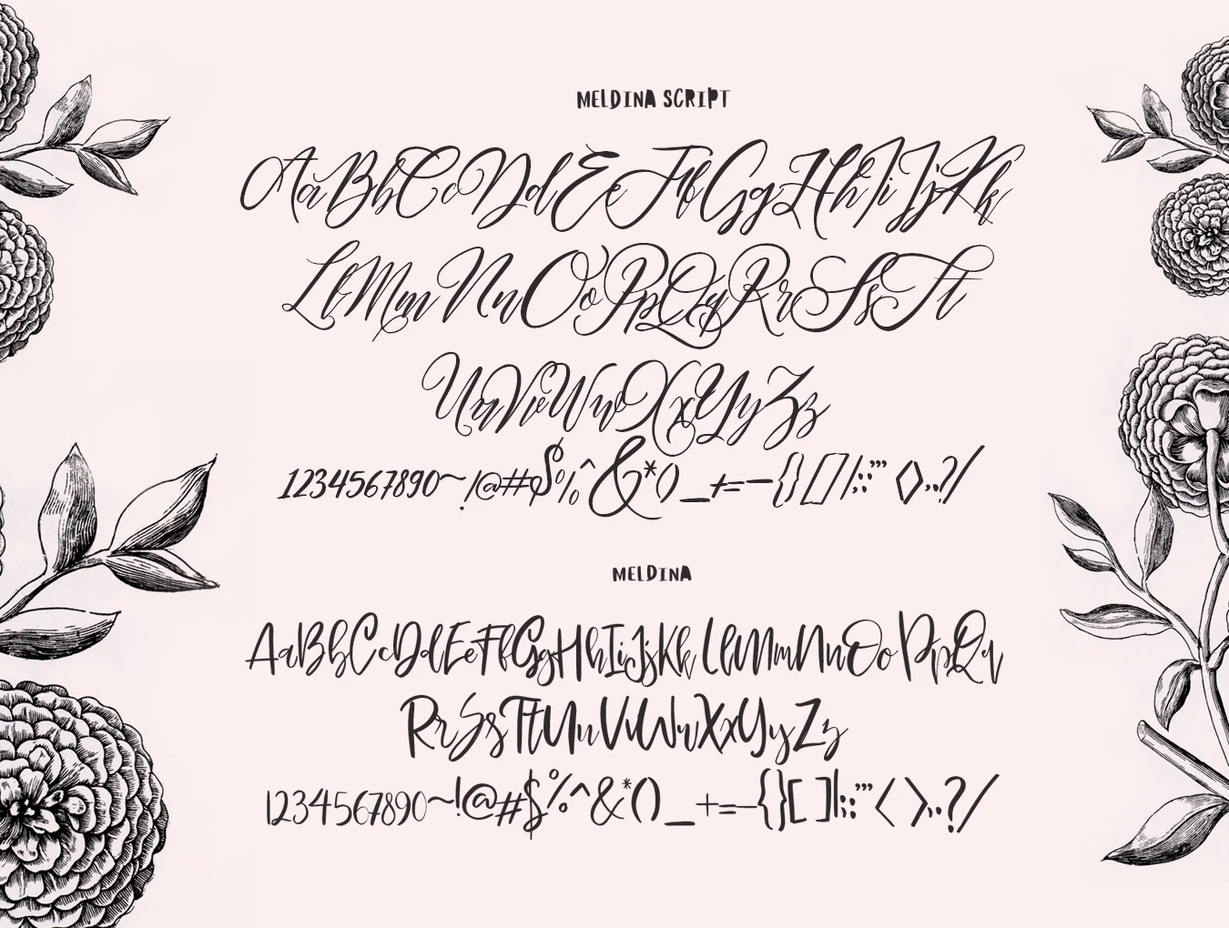 Maldina Feminine 4