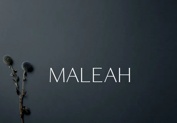Maleah Sans Serif