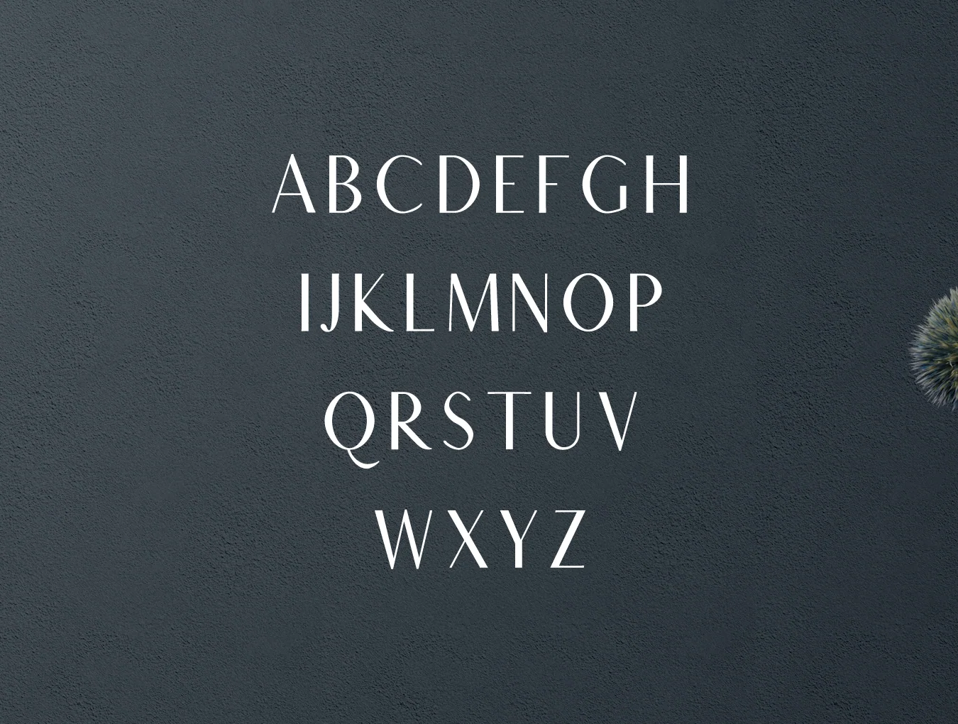 Maleah Sans Serif 2