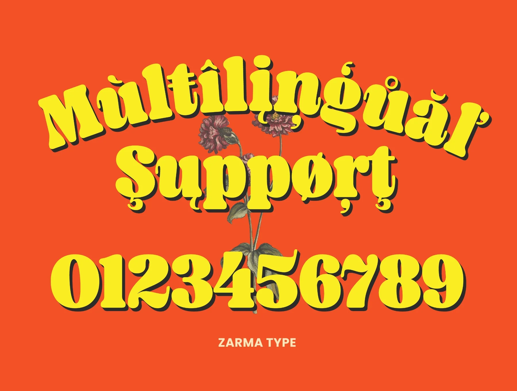 Malrin Font 6