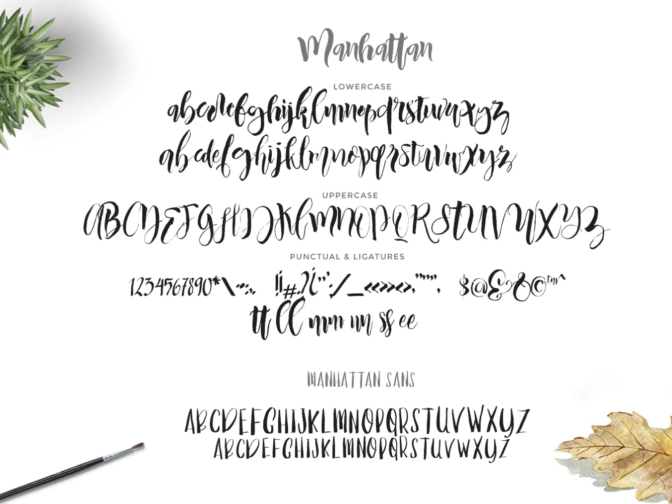 Manhattan Brush Font Duo 3