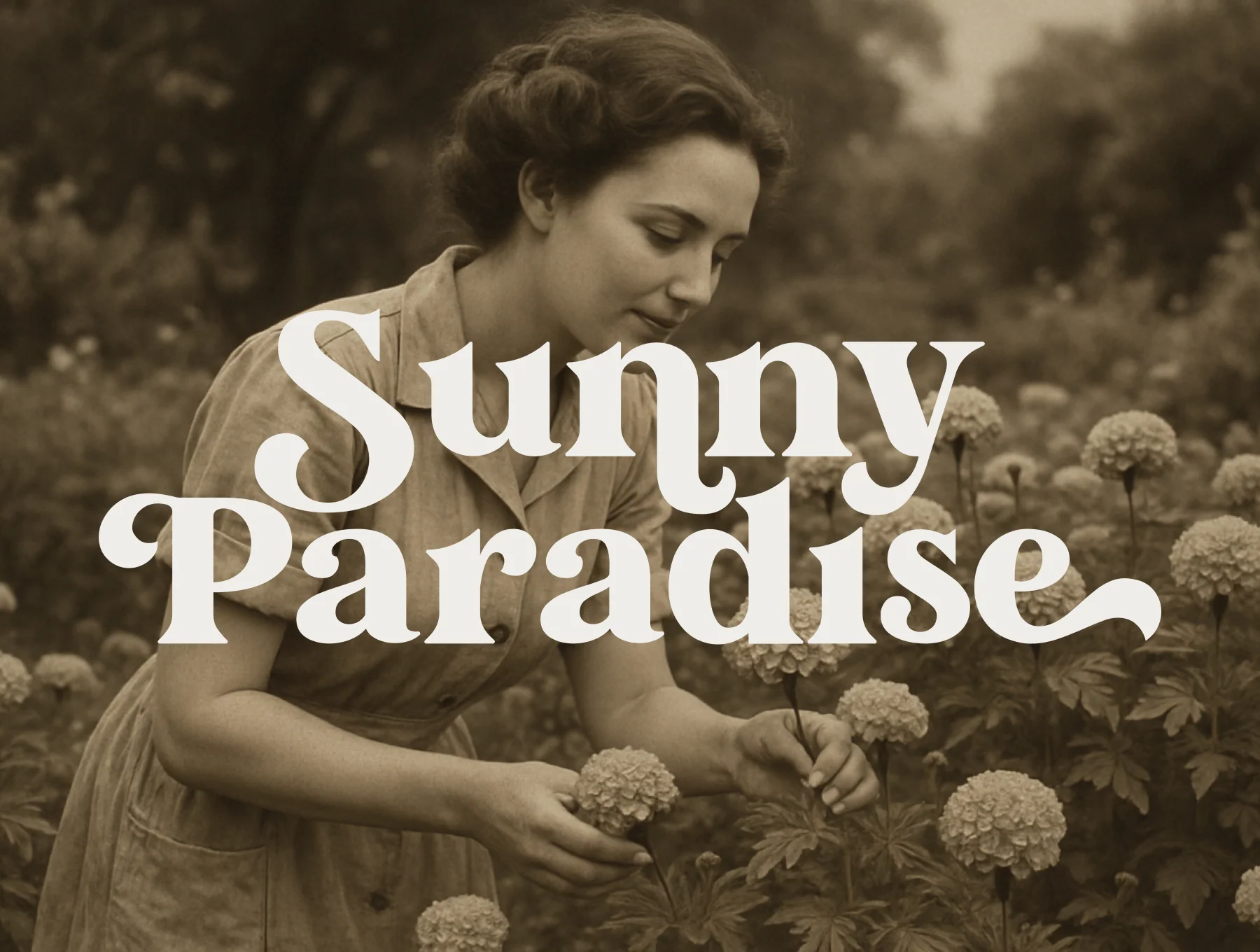 Marigold Magic - Vintage Serif Font 6