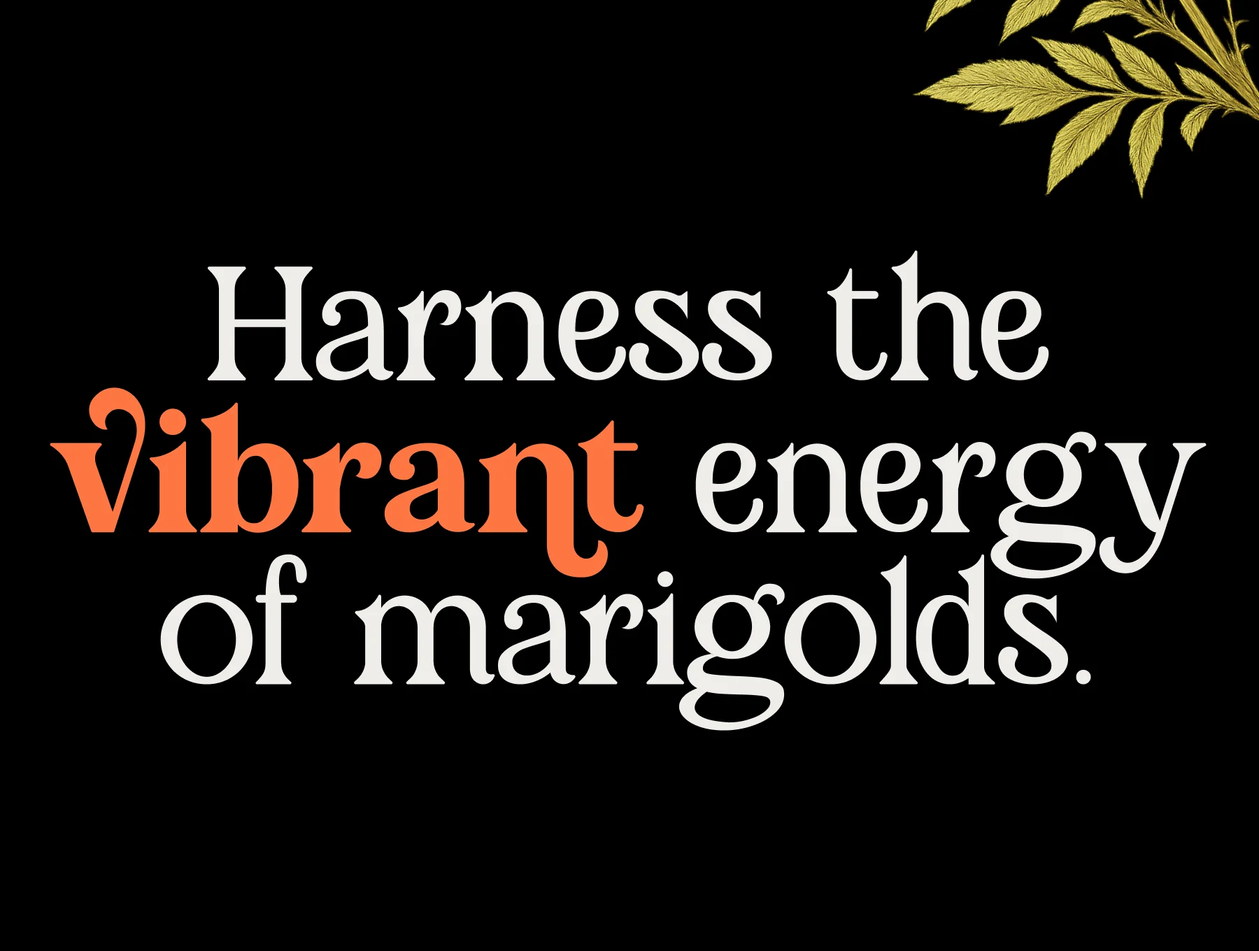 Marigold Magic - Vintage Serif Font 8