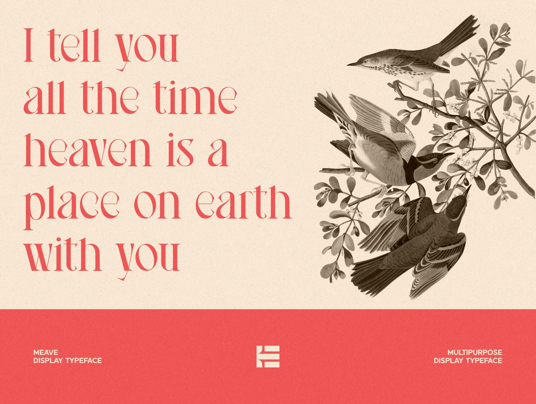Meave Display Typeface 4