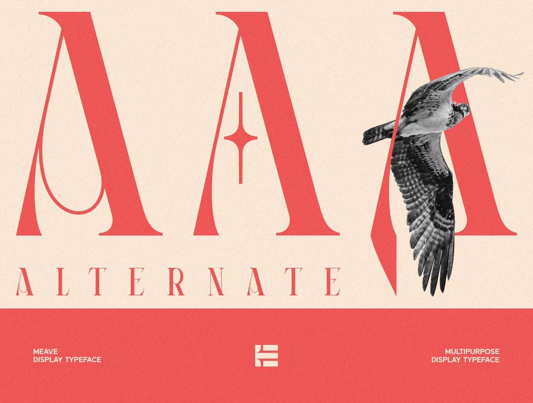 Meave Display Typeface 8